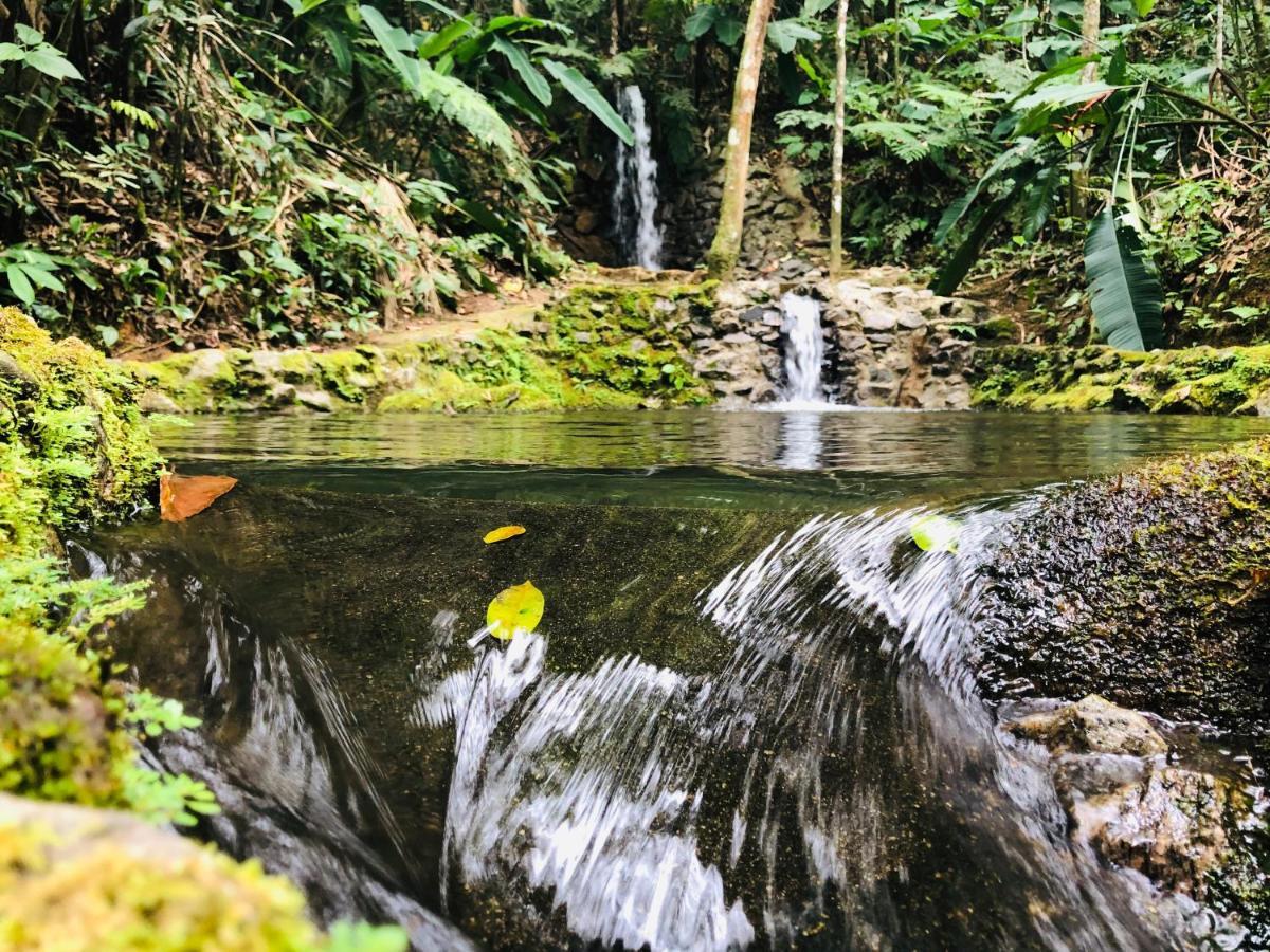 Hotel Bosques Do Massaguacu Caraguatatuba Bagian luar foto